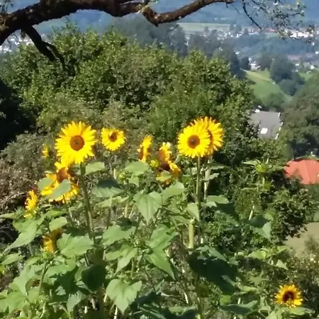 Muellnerhaus *