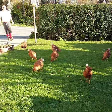 Appartement Muellnerhaus