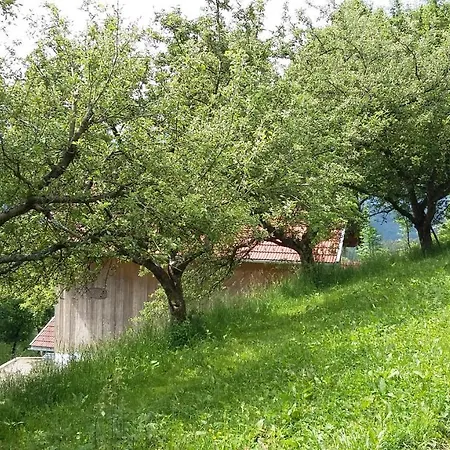 Muellnerhaus Appartement