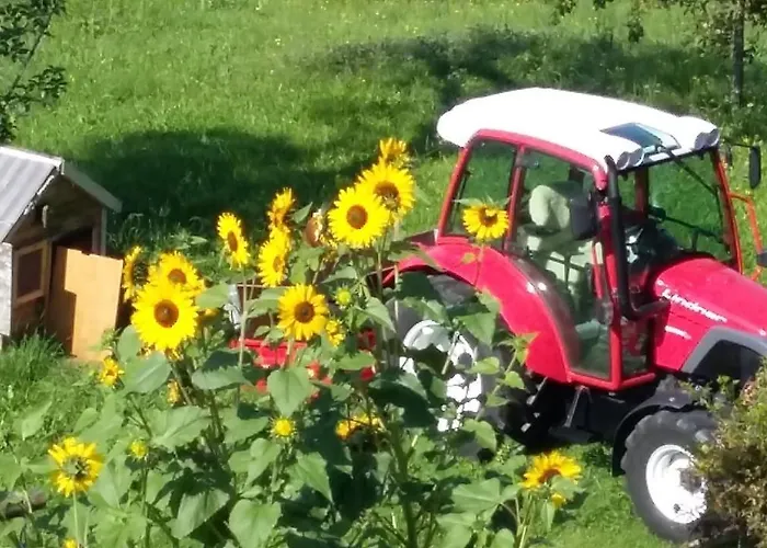 Muellnerhaus Apartament