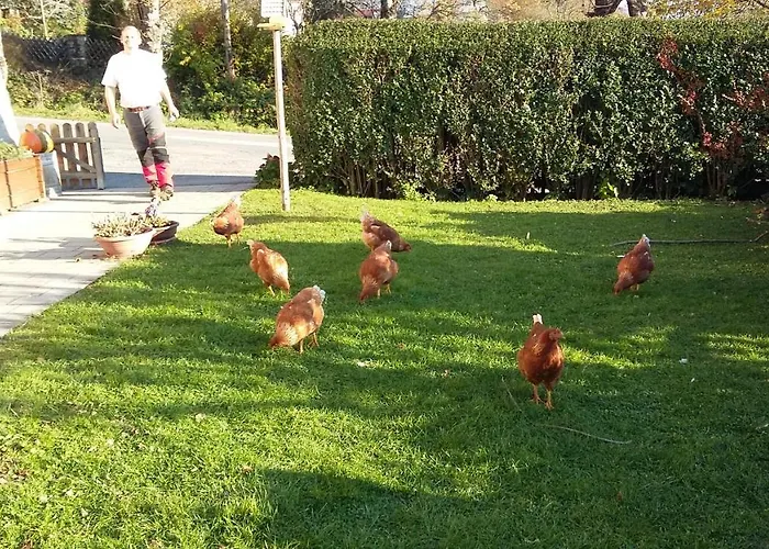 Apartament Muellnerhaus