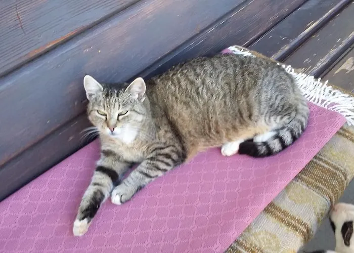 Muellnerhaus Apartmán *