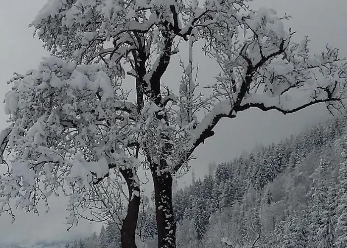 Apartament Muellnerhaus Millstatt am See